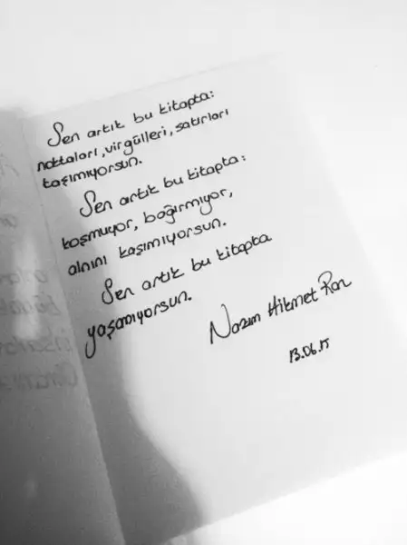 nazım.webp