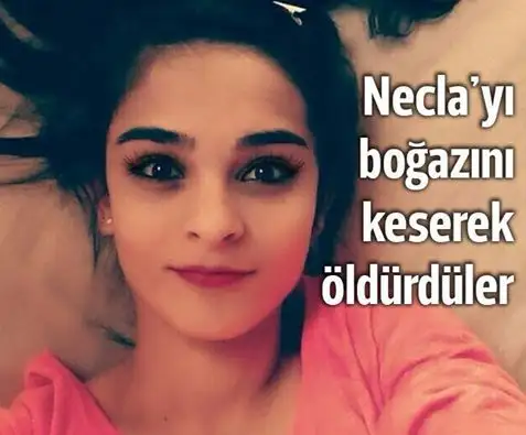 necla.webp