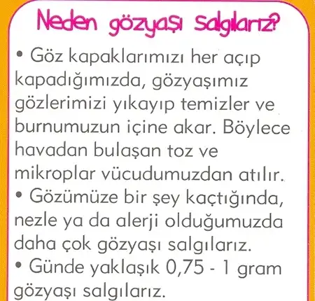 neden_gozyasi_sal.webp