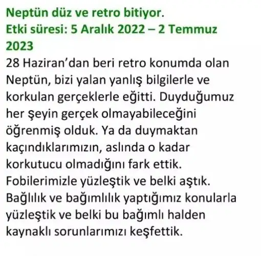 nep (1).webp