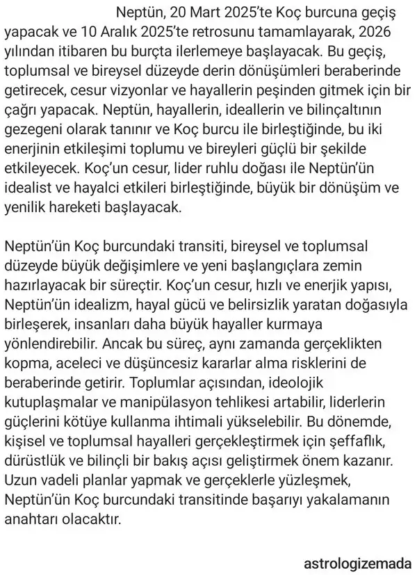 nep koç (11).webp