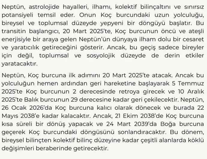nep koç (2).webp