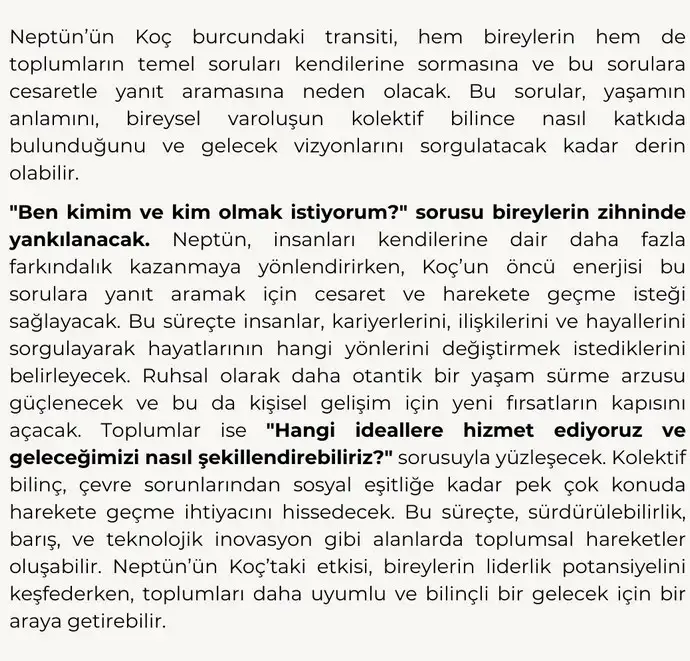 nep koç (3).webp