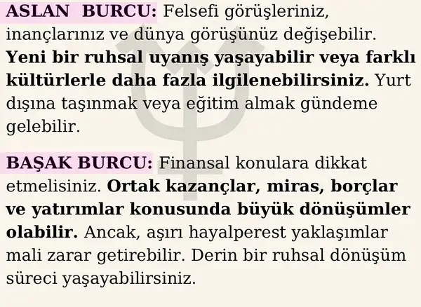 nep koç2 (3).webp
