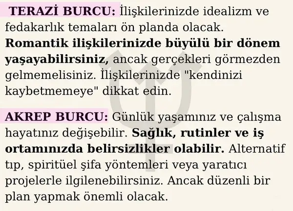 nep koç2 (4).webp