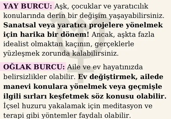 nep koç2 (5).webp