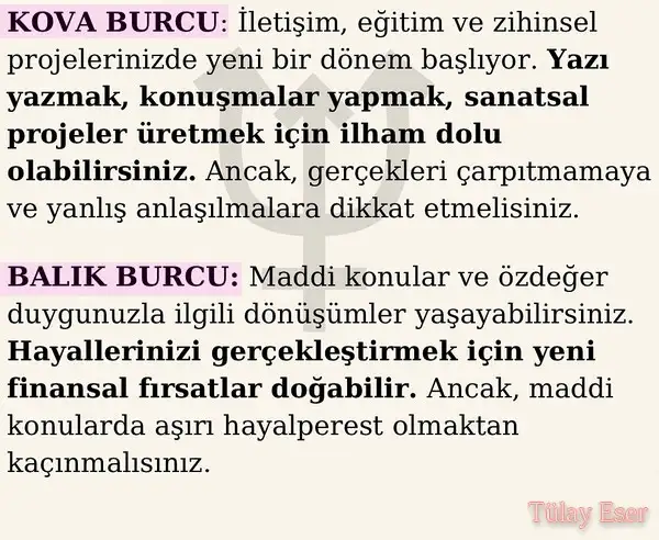 nep koç2 (6).webp