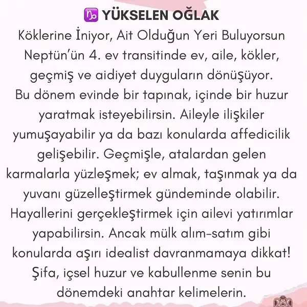 nep koç4 (11).webp