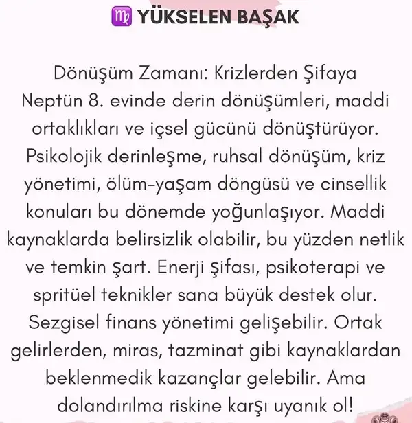 nep koç4 (7).webp