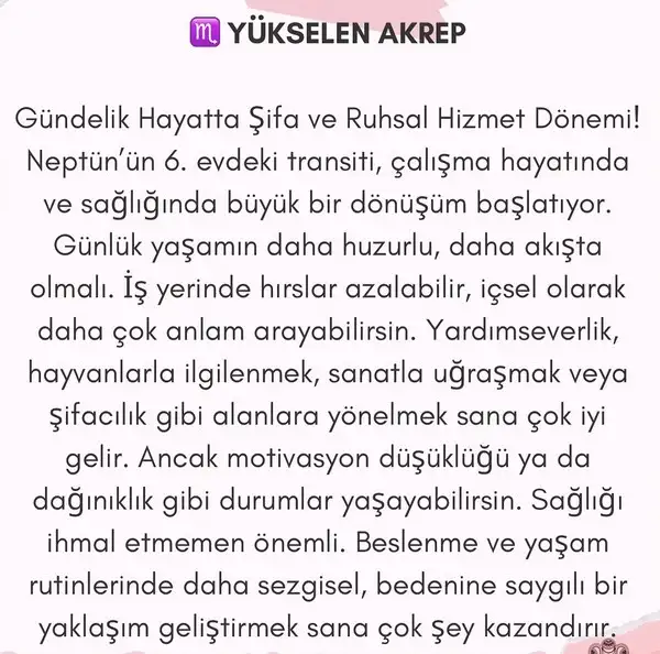 nep koç4 (9).webp