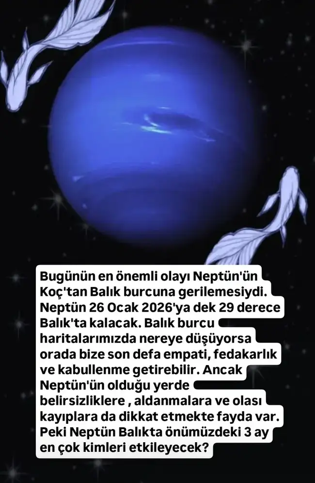 nep0 (1).webp