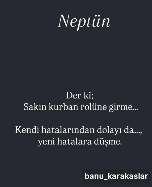 nep1.webp