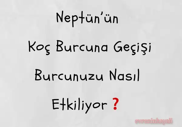 nep2 (1).webp