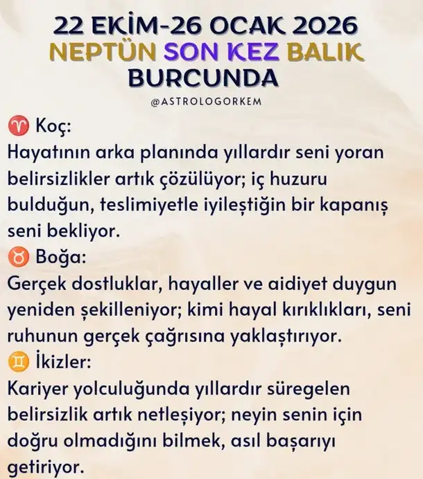 nep2 (1).webp