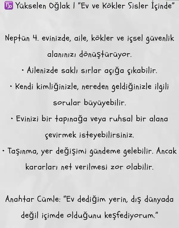 nep2 (18).webp