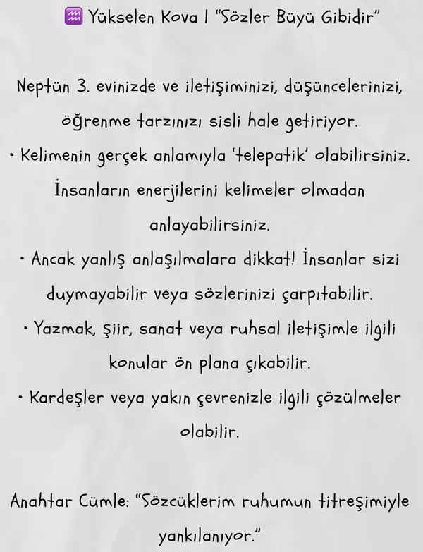 nep2 (19).webp