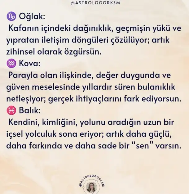 nep2 (4).webp