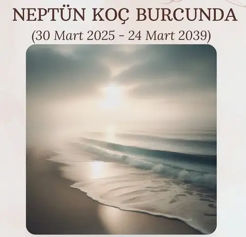nep2.webp