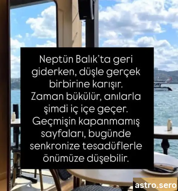 nep99 (3).webp