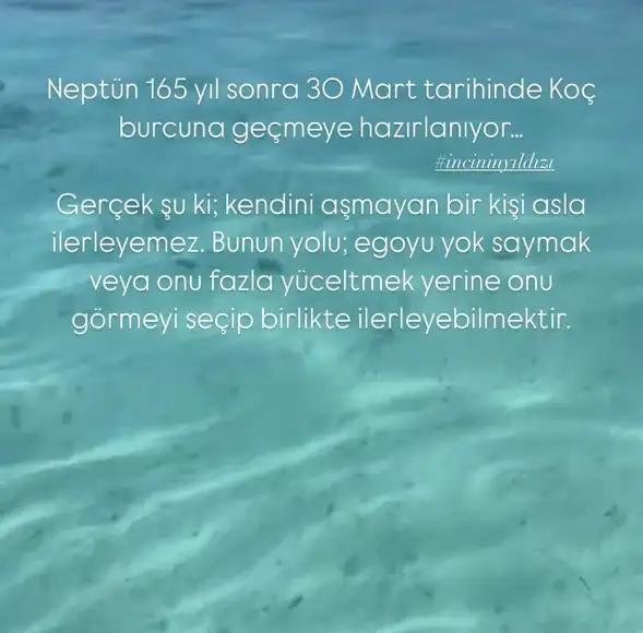 nepkoç.webp