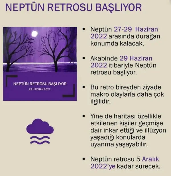 nept (1).webp
