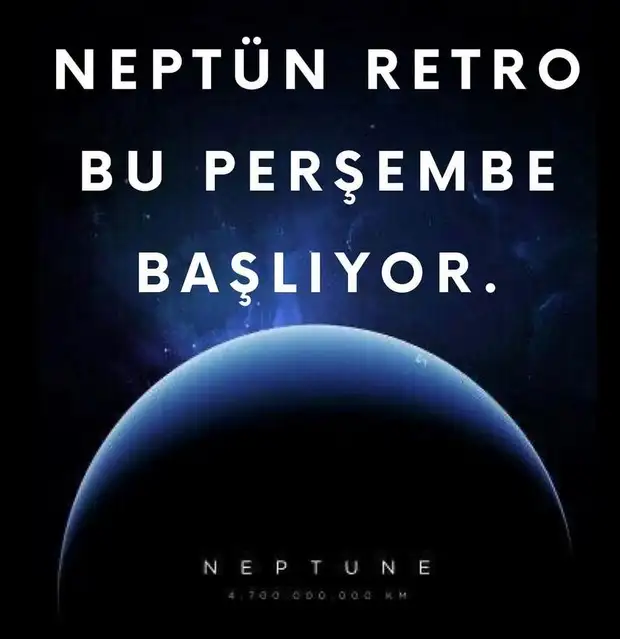 nept (1).webp