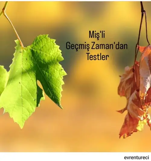 nept (1).webp