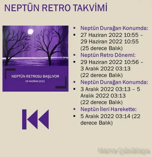 nept (2).webp