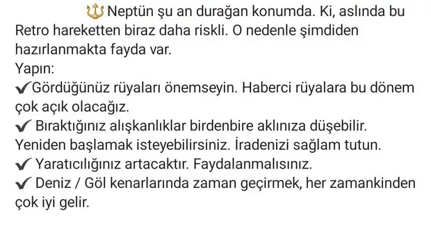 nept (2).webp
