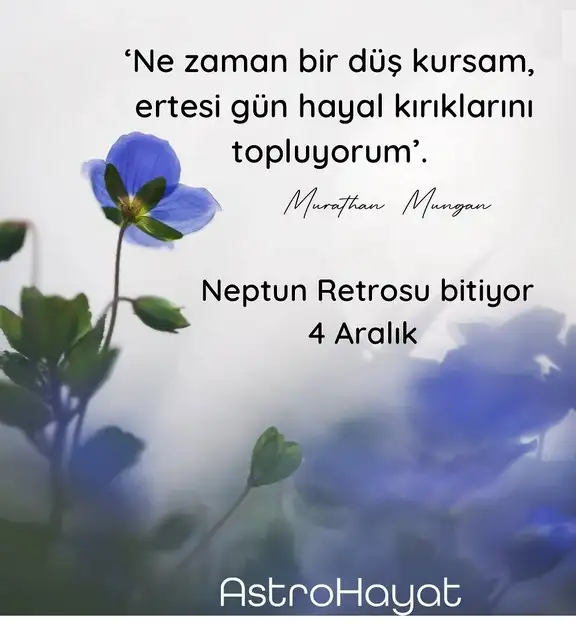 nept ret (1).webp