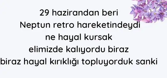 nept ret (2).webp