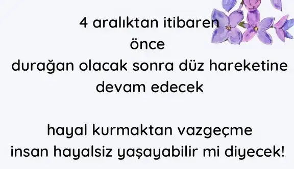 nept ret (3).webp