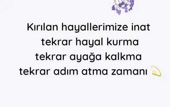 nept ret (4).webp