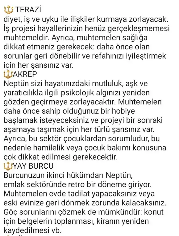 nept1 (5).webp