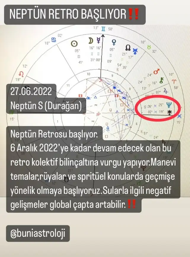 nept1.webp