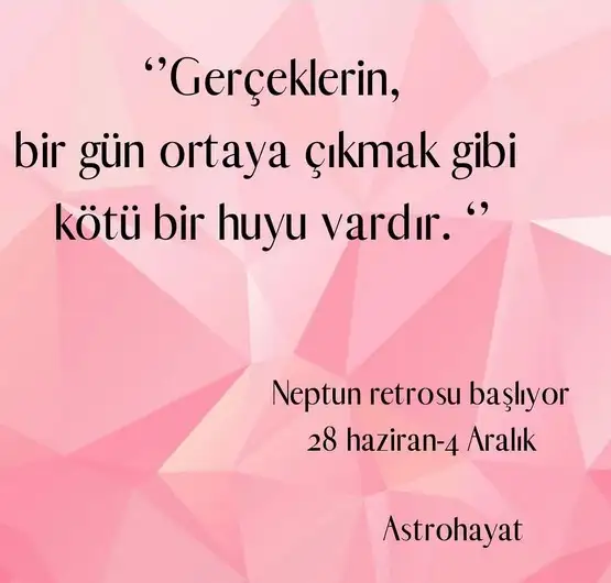 nept2 (1).webp