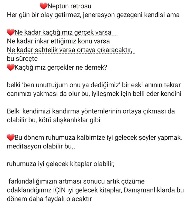 nept2 (2).webp