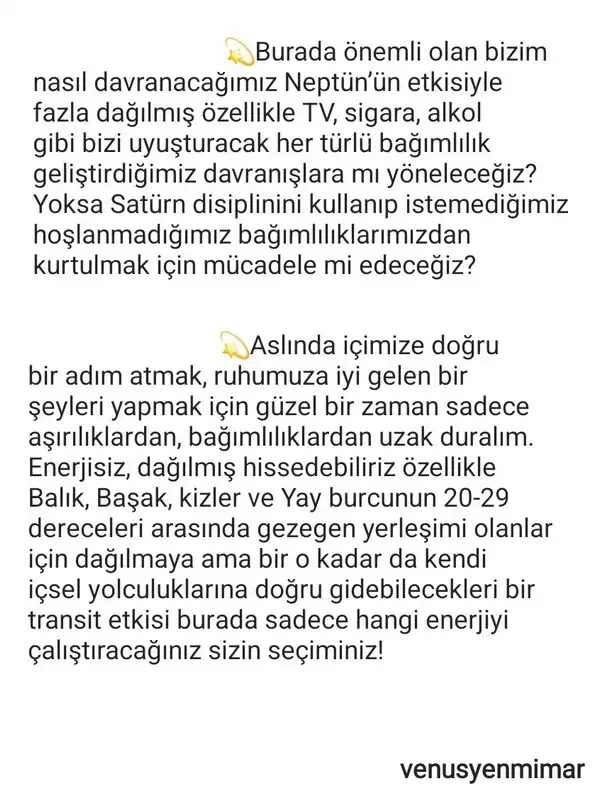 nept4 (2).webp