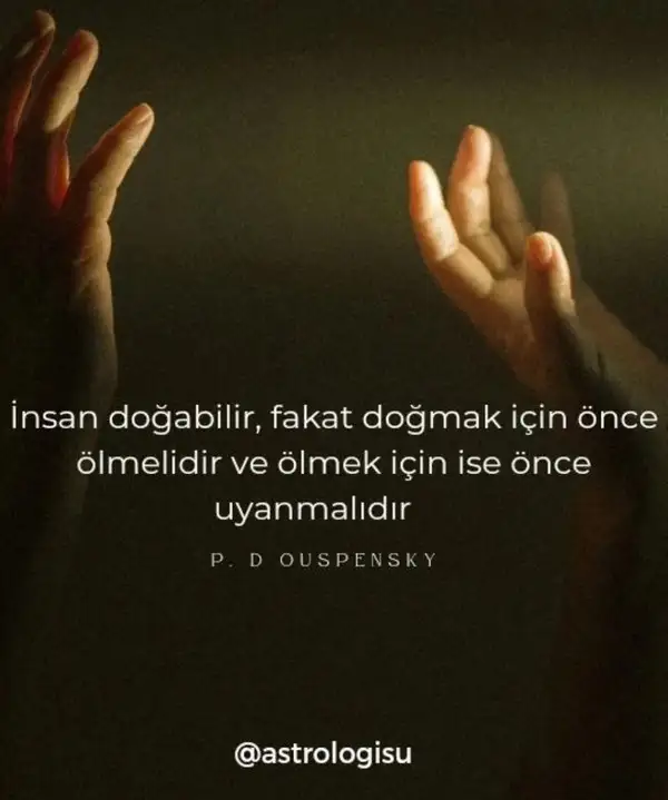 nept5 (1).webp