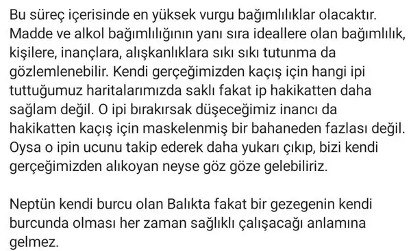 nept5 (2) - Kopya.webp
