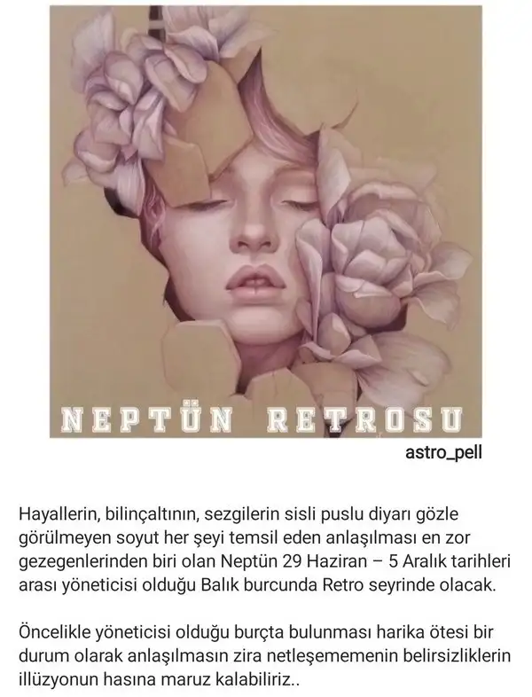 nept6 (1).webp
