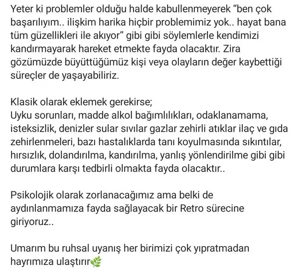 nept6 (2).webp