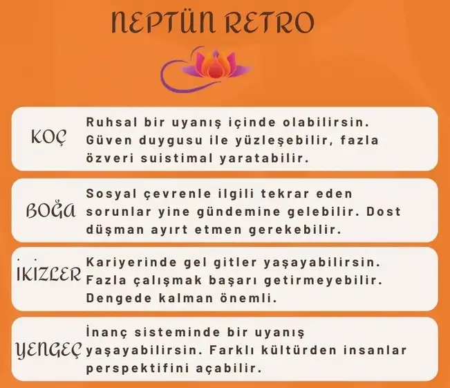 nept7 (1).webp
