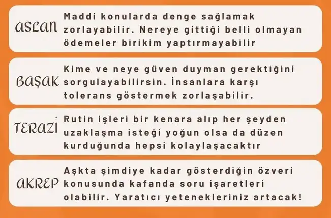 nept7 (2).webp