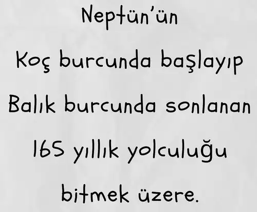 neptkloç (2).webp