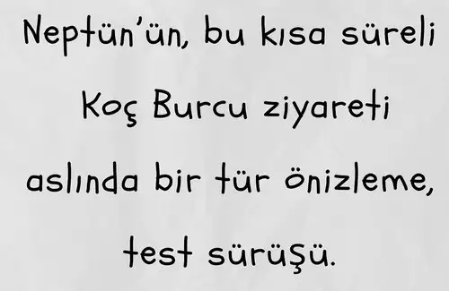 neptkloç (5).webp