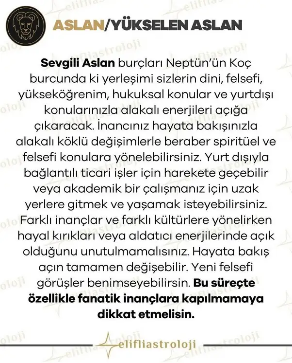 neptnn (6).webp