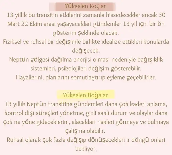 neptün koç1 (3).webp