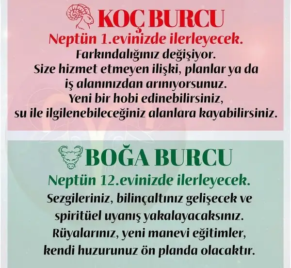 neptün koç10 (2).webp