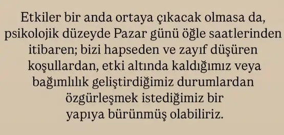 neptün koç11 (6).webp